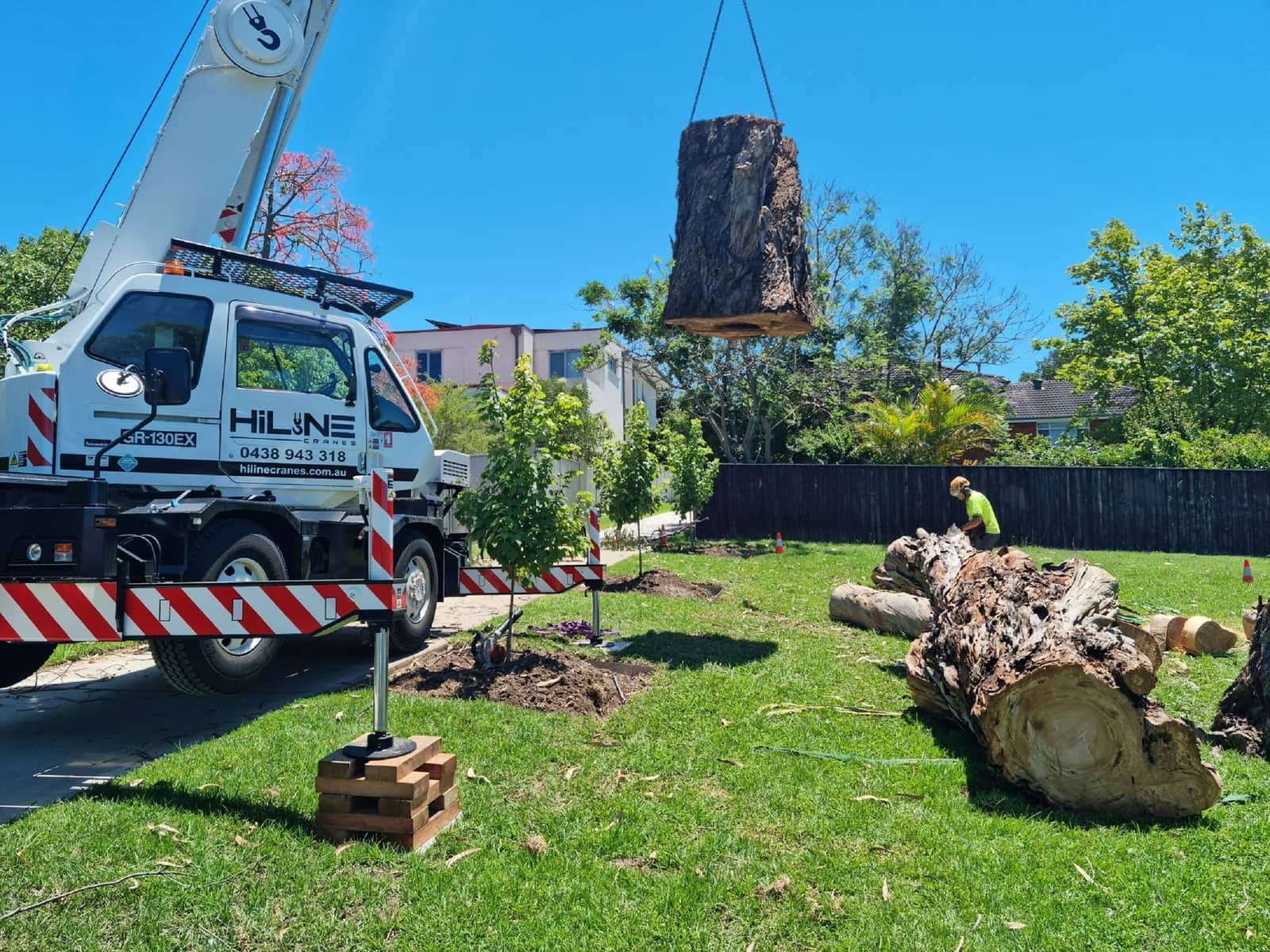Tree service work in Matthews NC